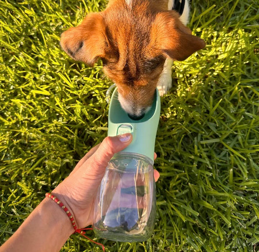 Portable Leakproof Pet Bottle