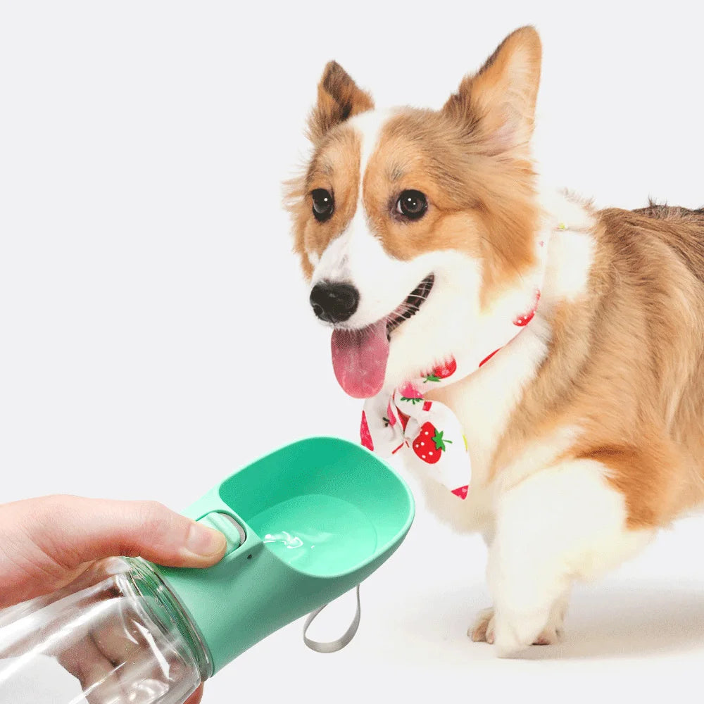 Portable Leakproof Pet Bottle